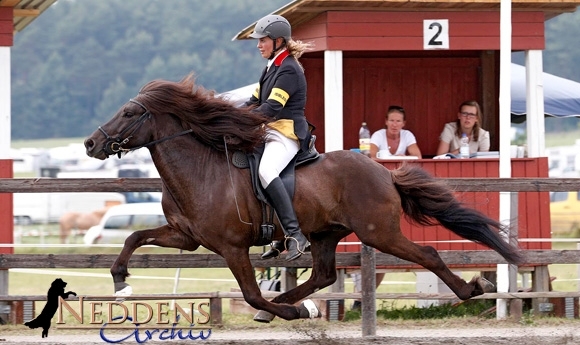 Kronshof: Dörte packt T2, Marie/Holmgeir gewinnen P1/P3