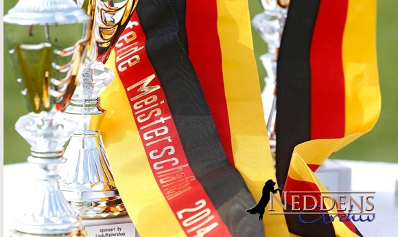 DIM live: Finaltag beginnt, Laura & Frank in T1/T2-Finals