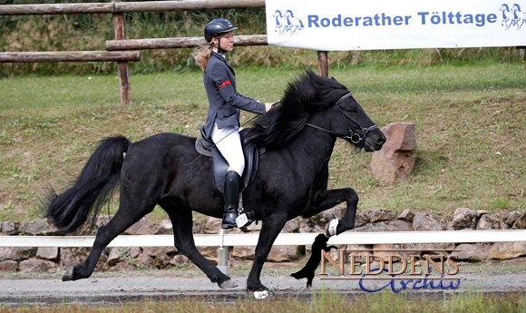 Roderath: Tölt an Todzey, Aghegyi, Göttgens, Martin, Stolz