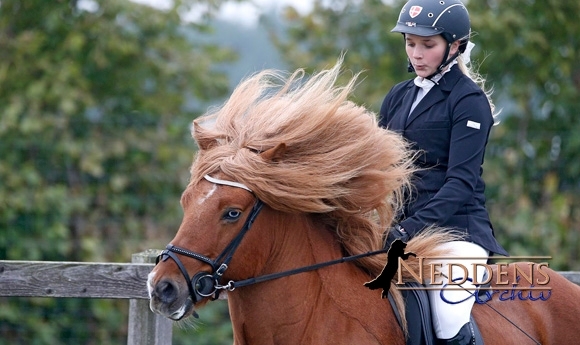 Passchampionat: Youngster-Finals an Schamlott/Panduro