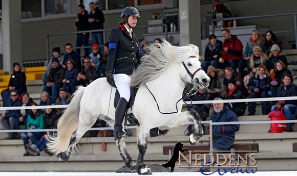 IceHorse: Dörte und Lena an der Spitze der Töltprüfung T2