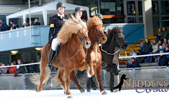 IceHorse: Gute Unterhaltung mit T2, T1 & Gala-Highlights