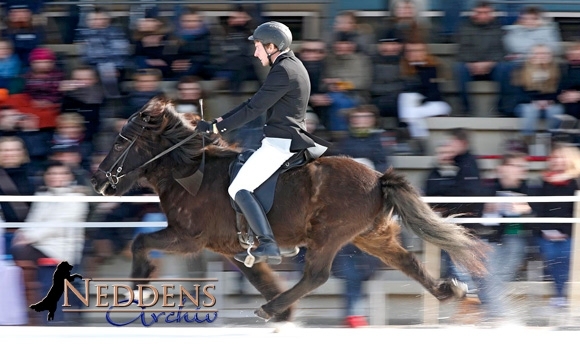 IceHorse: Nicolai & Þórður im Speedpass die Schnellsten