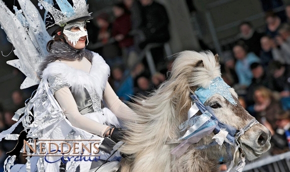 IceHorse: Viel Freude mit dem coolen Neddens-Fotoalbum