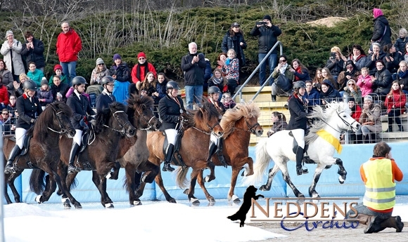 IceHorse: Dörte und Ísbjörn vergolden sonniges T2-Finale