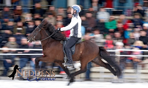 IceHorse: Þórður ist neuer Europameister im Speedpass