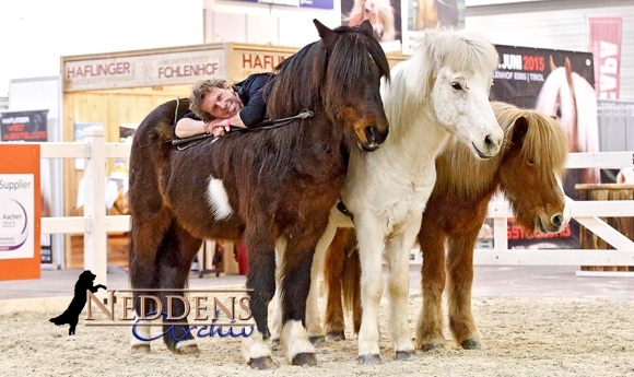 Equitana: Bramesfeld brilliert mit ‘Natural Horsemanship’