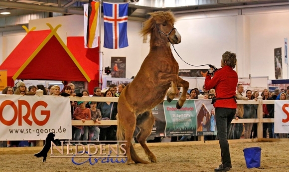 Equitana 2015: Klaus Hübel und Kóki Ólason ziehen Bilanz