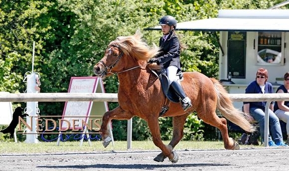 E’bach: Lara/Siggi/Alex flott, Talent-Gold an Dreyri