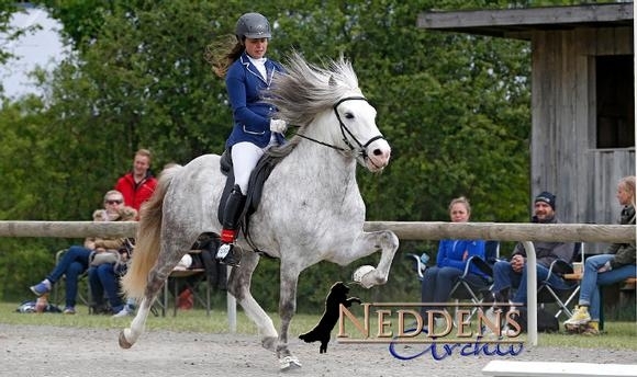 Ellenbach: Cathi und ihr ‘Goldfisch’ gewinnen die V1