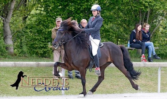 Ellenbach: T1-Gold für Lea/Kolgrímur, F2 an Susi
