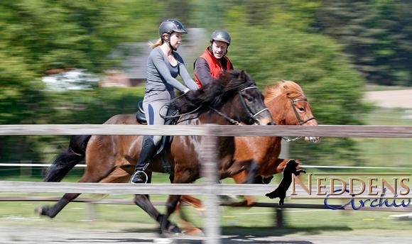 Kronshof: Racing-Gold an Stymmi und Hólmgeir