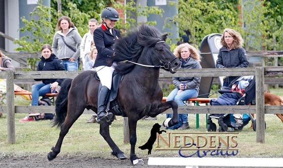 Kronshof: Sarja & Fabienne dominieren Youngster-T2