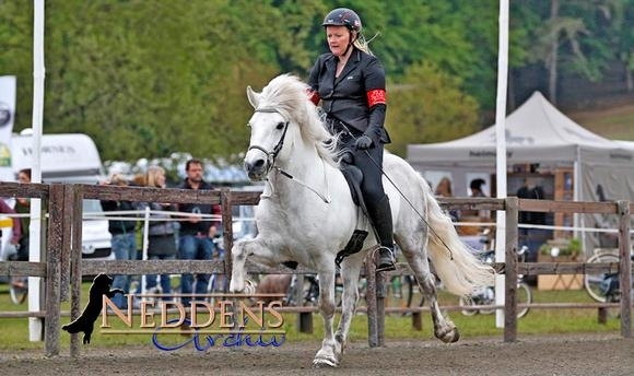 Kronshof: Julie/Straumur im Rennen um T2-Gold