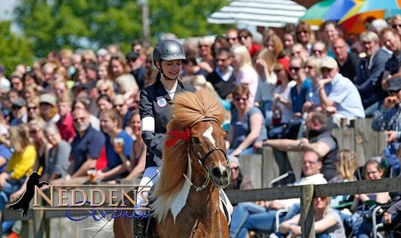 Kronshof: Neddens-Album von der Action in Ellringen