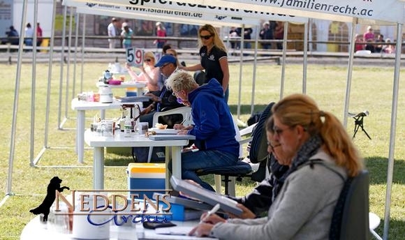 Roderath: Sonniger Start beim IPN / Live-Updates