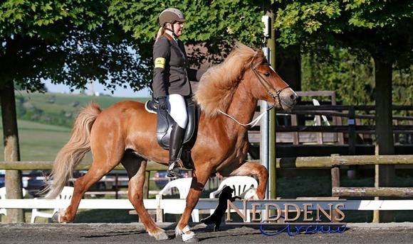 Roderath: Sonja/Stymmi toppen T3, NRW-Updates