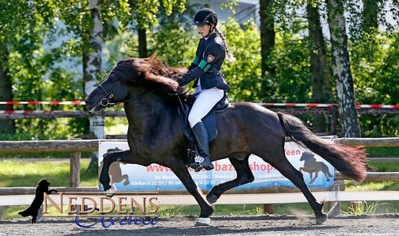 Roderath: Gold für Grolig, Hütter, Weyres, Mijnlieff