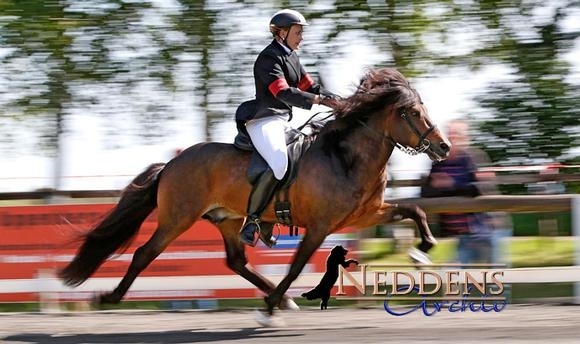 Roderath: Fantastische F1 von Franka, V1 an Jocelyne