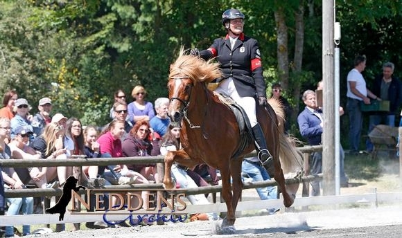 Roderath: Joyful Jolly regiert ihre 8,13er NRW-T2