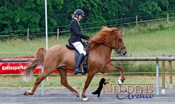 Mbr: Freija gewinnt V1-BF, T2 an Christopher & Lena