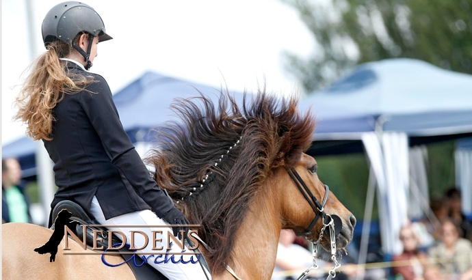 DJIM: Feldt und Hoppe toppen gute Jugend-T2