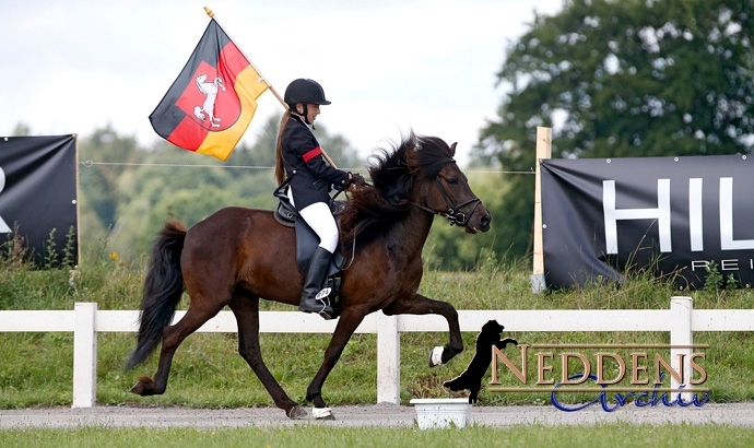 DJIM: Klindt, Hoppe, Menzinger gewinnen BFs