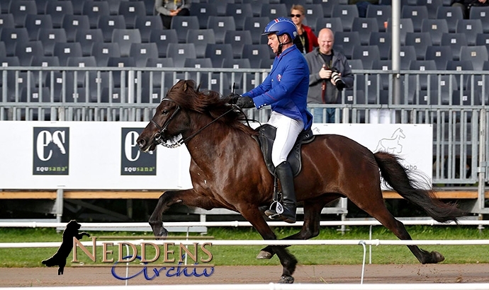 WM live: Garún gewinnt bei 6j. Stuten, Gletting Silber