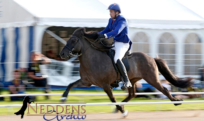 WM live: PP1-Gold an Teitur (IS) und Lara (CH)