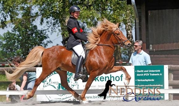Roderath: Christina/Eldur strahlend zu Töltpreis-Gold