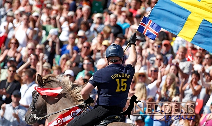 WM: Neddens-Album aus Herning, Portion Nr. 3