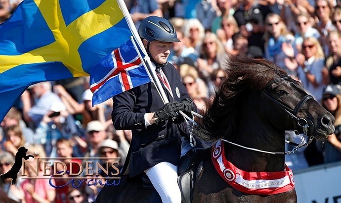 WM live: Vignir gewinnt Titel in der Töltprüfung