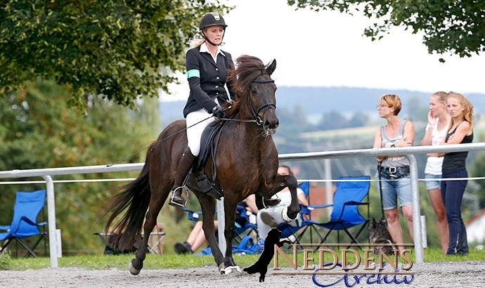 BIM live: V2 an Ladina, Freija vergoldet Futurity x2
