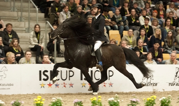 WorldTölt live: Agnar abermals der Fünfgang-Champion