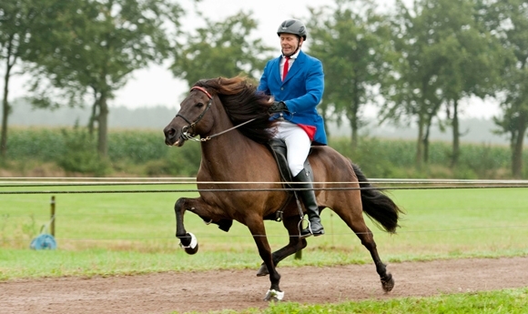 NL-Meisterschaft 2014: Erster Titel an Siggi Mar (PP1)