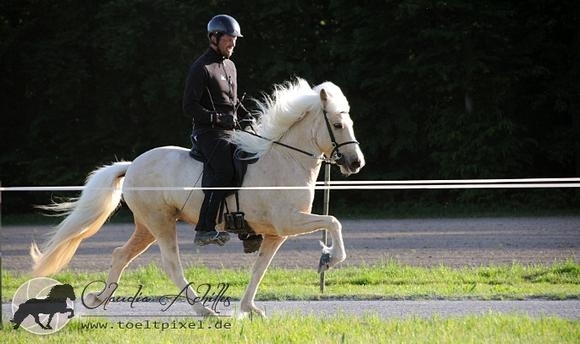FIZO Vorsenzhof: Leira und Sjóður nach Tag 1 top
