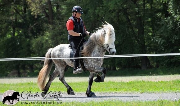 Foto-Nachlese der FIZO auf dem Vorsenzhof