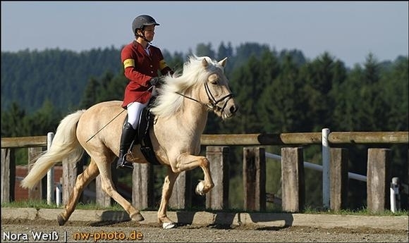 BIM live: Irene toppt T3, Nathalie macht die ‘Alten’ nass …