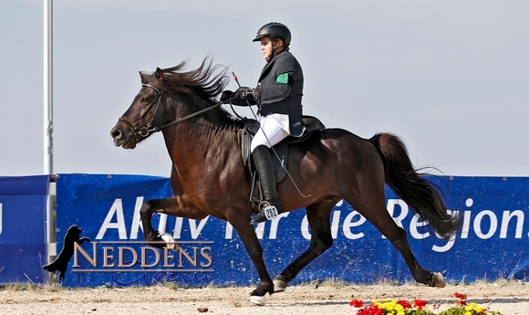 HIM: Lenni & Panther prima, BFs an Gall/Q’nitschka/R’thal