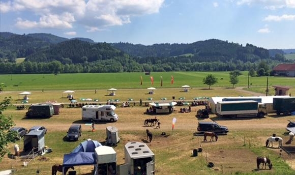 Alp’hof: 1a-Kür Menzinger, tolle Wiesenhof-Talente