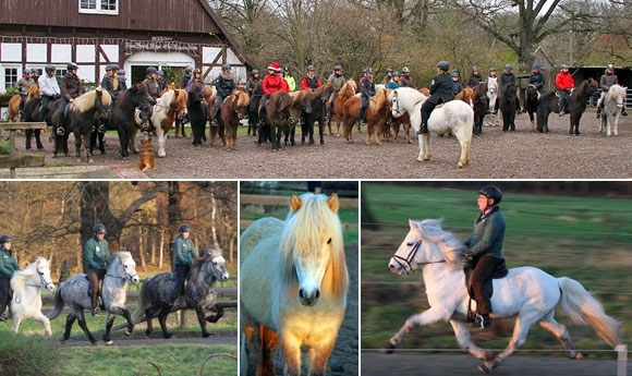 Action und Atmo: Prächtiger Advent auf dem Basselthof