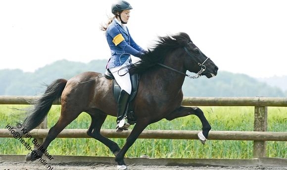 Belm: Topphoff toppt F2, Updates vom IPOL e.V.