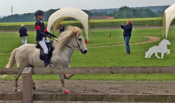 Belm: Förster/Geiger top im Tölt, Futurity-Queen Sæta