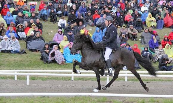 LM: Loki frá Selfossi und Siggi Sig vergolden B-Flokkur