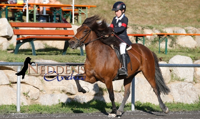 BIM live: Mara, Diljá, Charlene jubeln über Gold