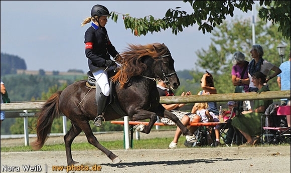 BIM-Nachlese: Fotos und Videoclips (T1/V1) aus Wurz