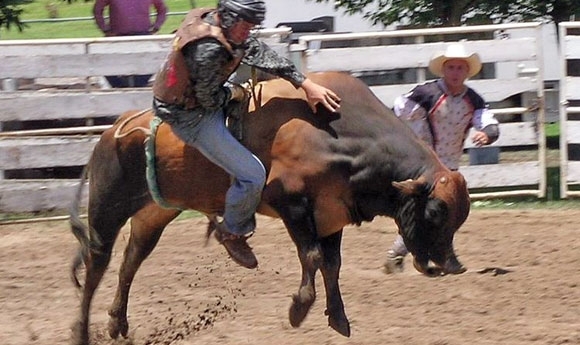 Volles Programm: Bauchtanz & Bullenrodeo am Birkenhof