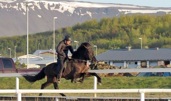 Hafnarfjörður: Stand vor RE 2, Video von schicker Kvika