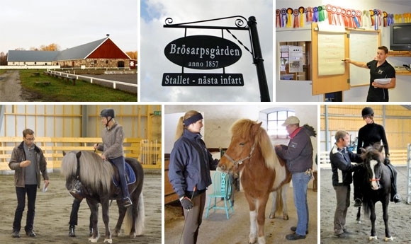 Akademie in Brösarp: Skúlason sponsert Platz für 1 YR