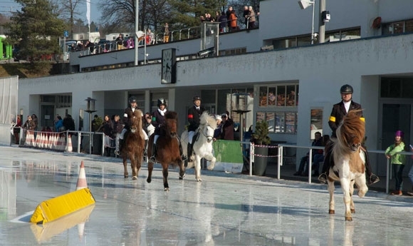 Gelungener ‘Tölt at Dolder’ 2014: Eisiges Triple für Ladina